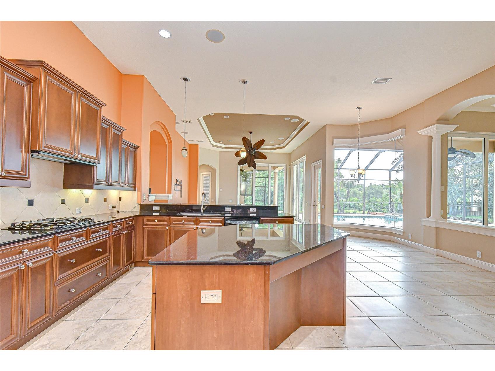 21338 Lake Vienna Drive Drive Land O Lakes FL 34638 TB8491068 image35