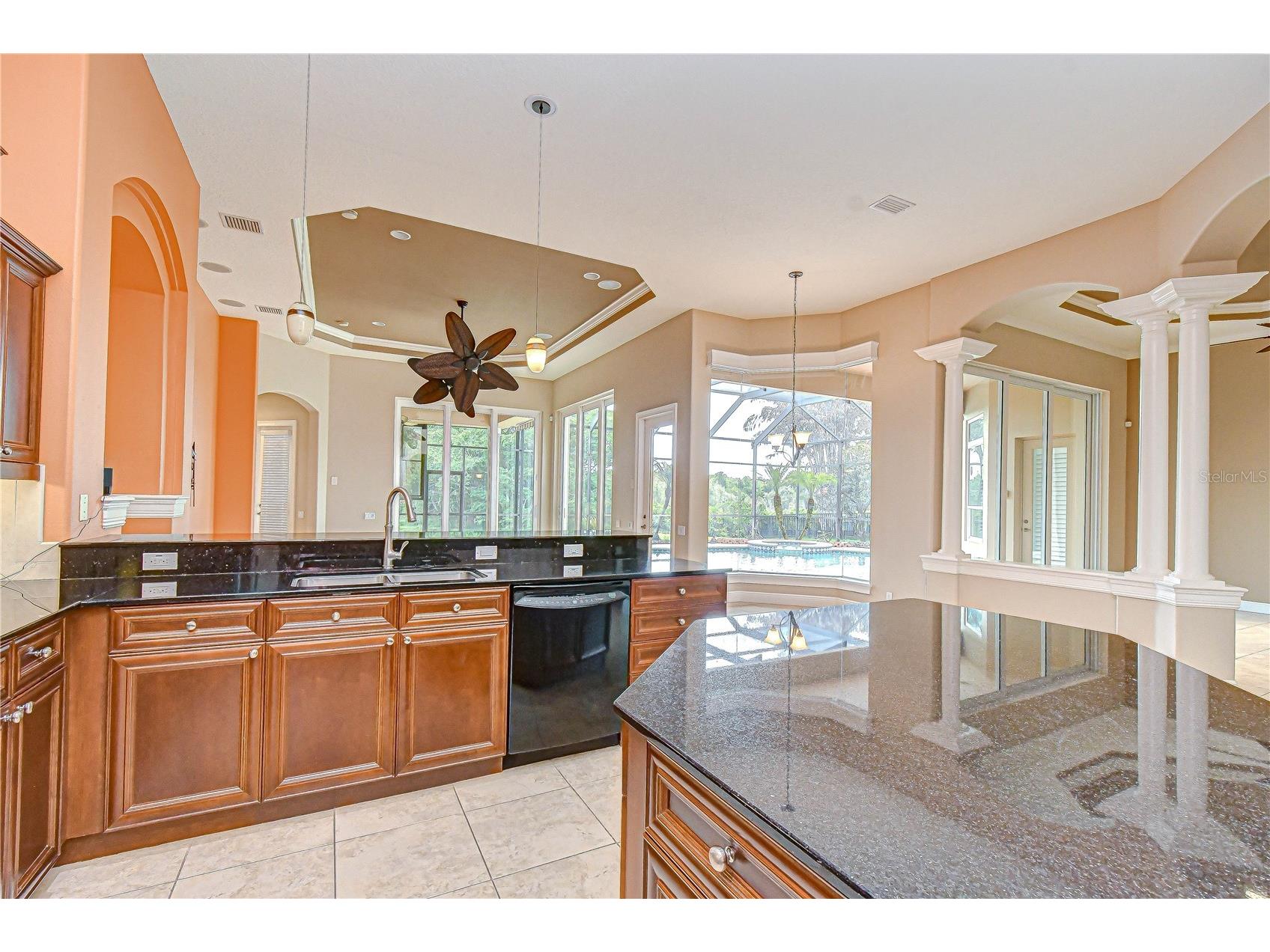 21338 Lake Vienna Drive Drive Land O Lakes FL 34638 TB8491068 image36