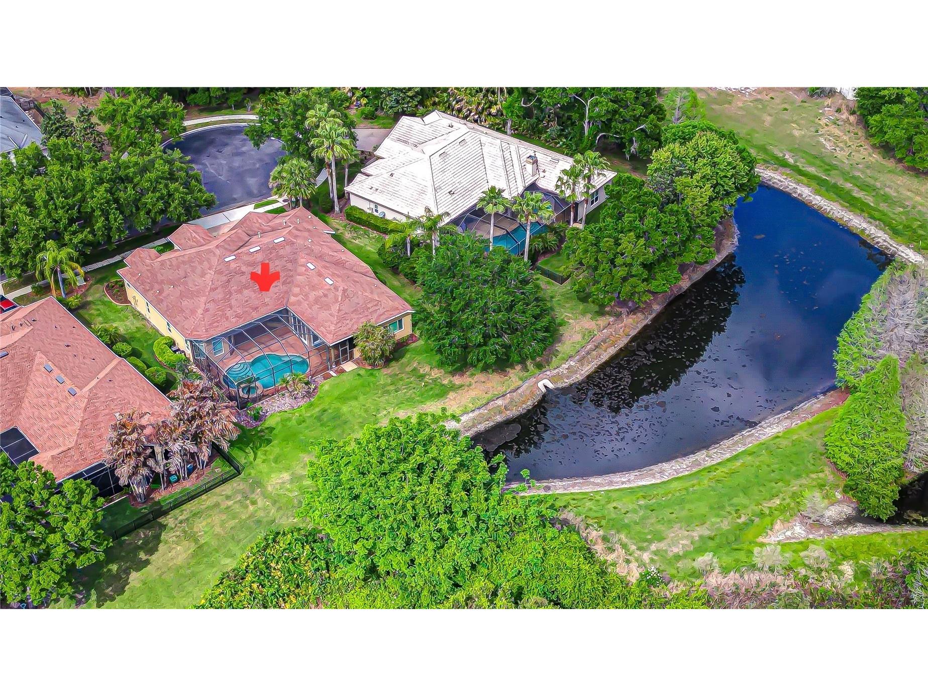 21338 Lake Vienna Drive Drive Land O Lakes FL 34638 TB8491068 image4