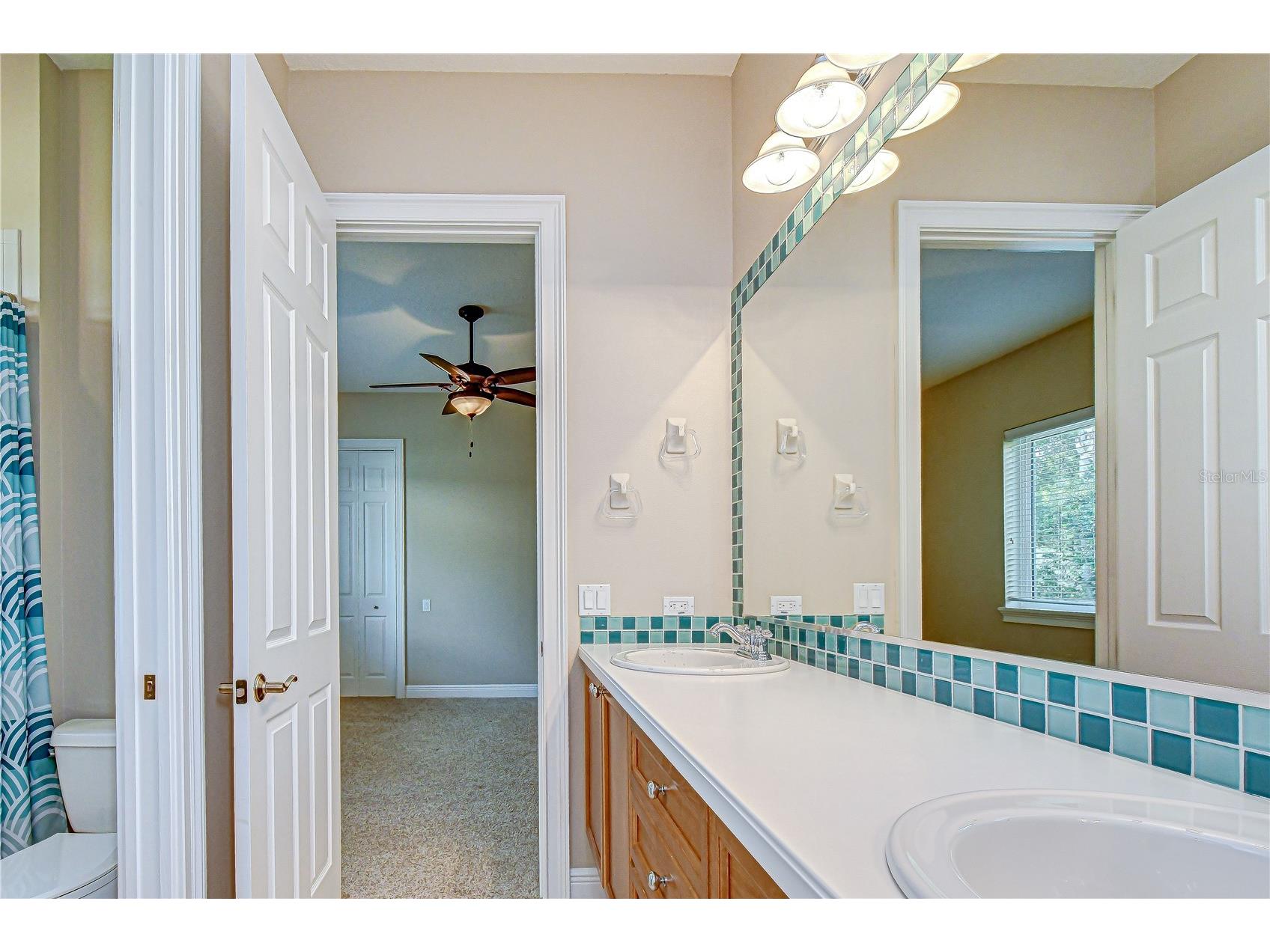 21338 Lake Vienna Drive Drive Land O Lakes FL 34638 TB8491068 image43
