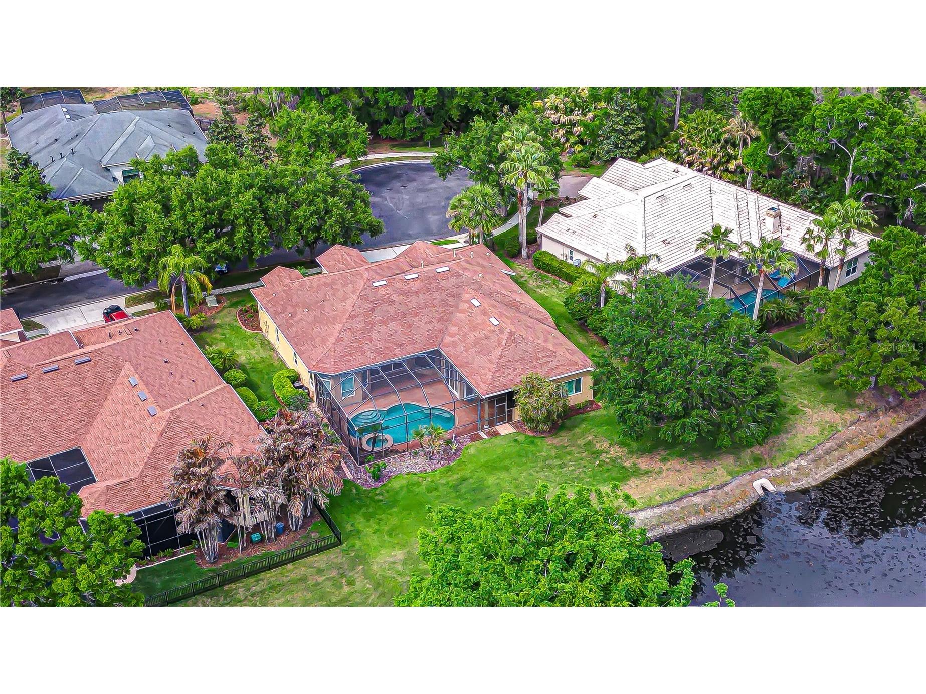 21338 Lake Vienna Drive Drive Land O Lakes FL 34638 TB8491068 image5