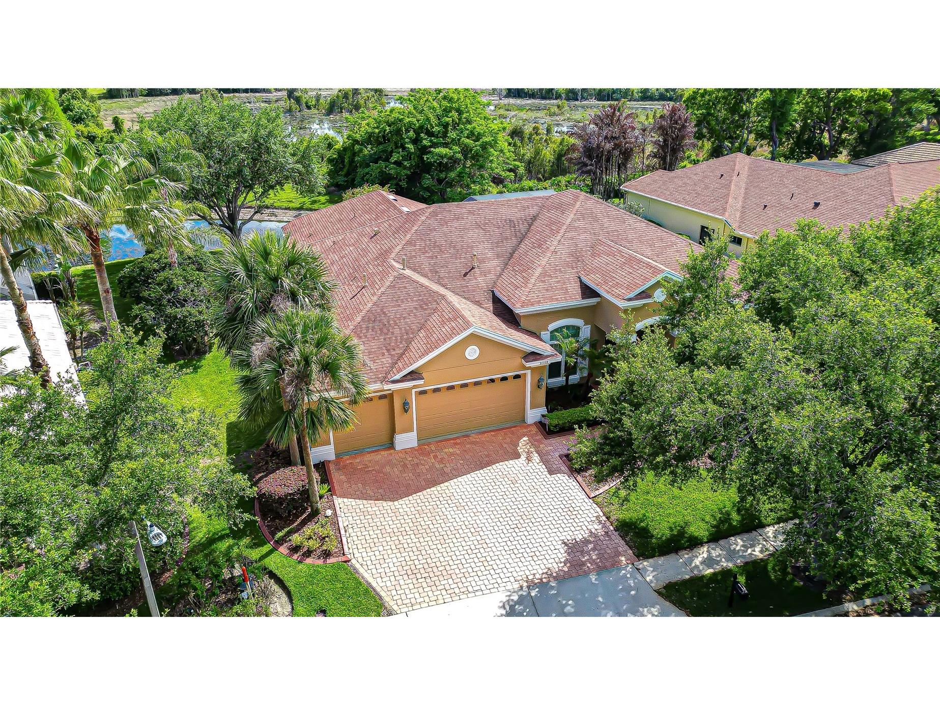 21338 Lake Vienna Drive Drive Land O Lakes FL 34638 TB8491068 image6