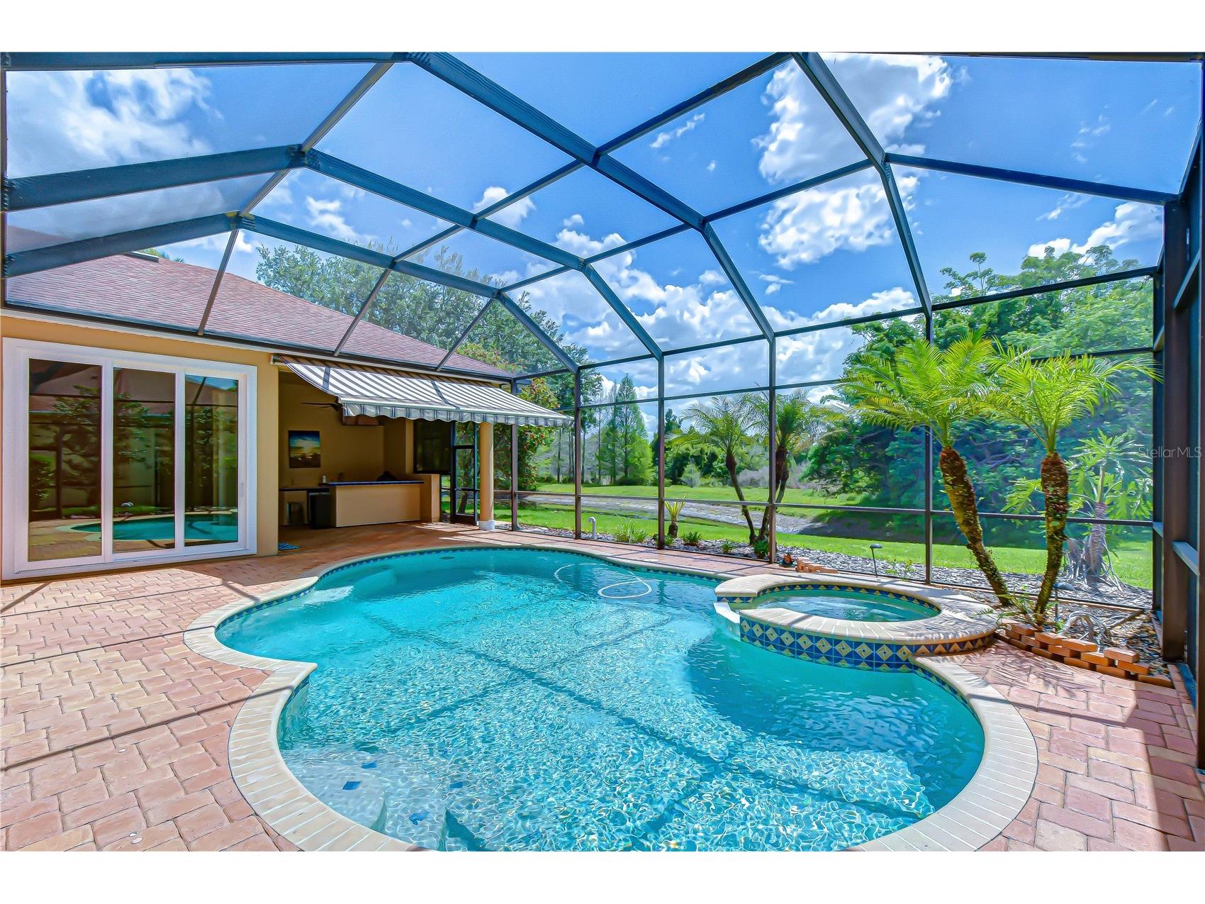 21338 Lake Vienna Drive Drive Land O Lakes FL 34638 TB8491068 image62