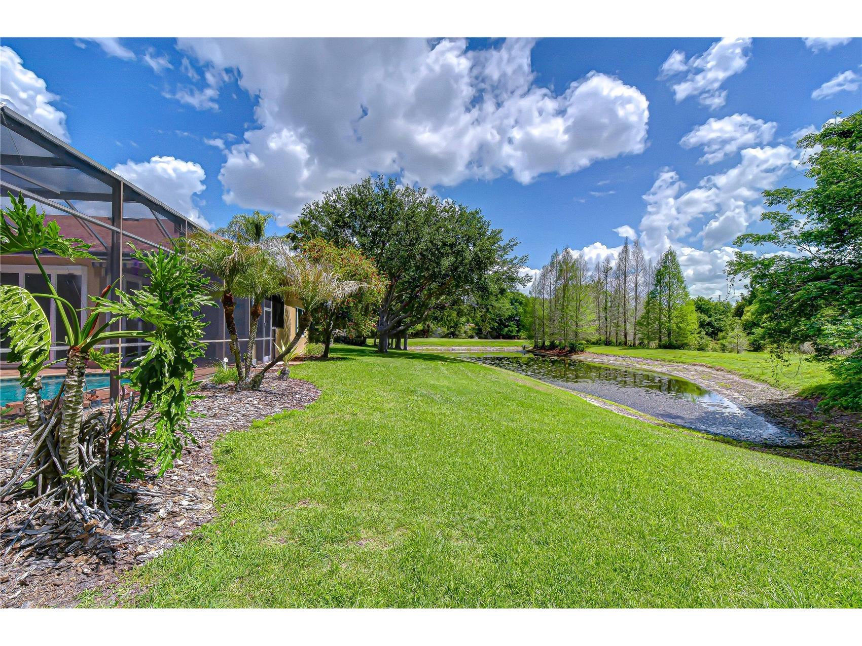 21338 Lake Vienna Drive Drive Land O Lakes FL 34638 TB8491068 image65