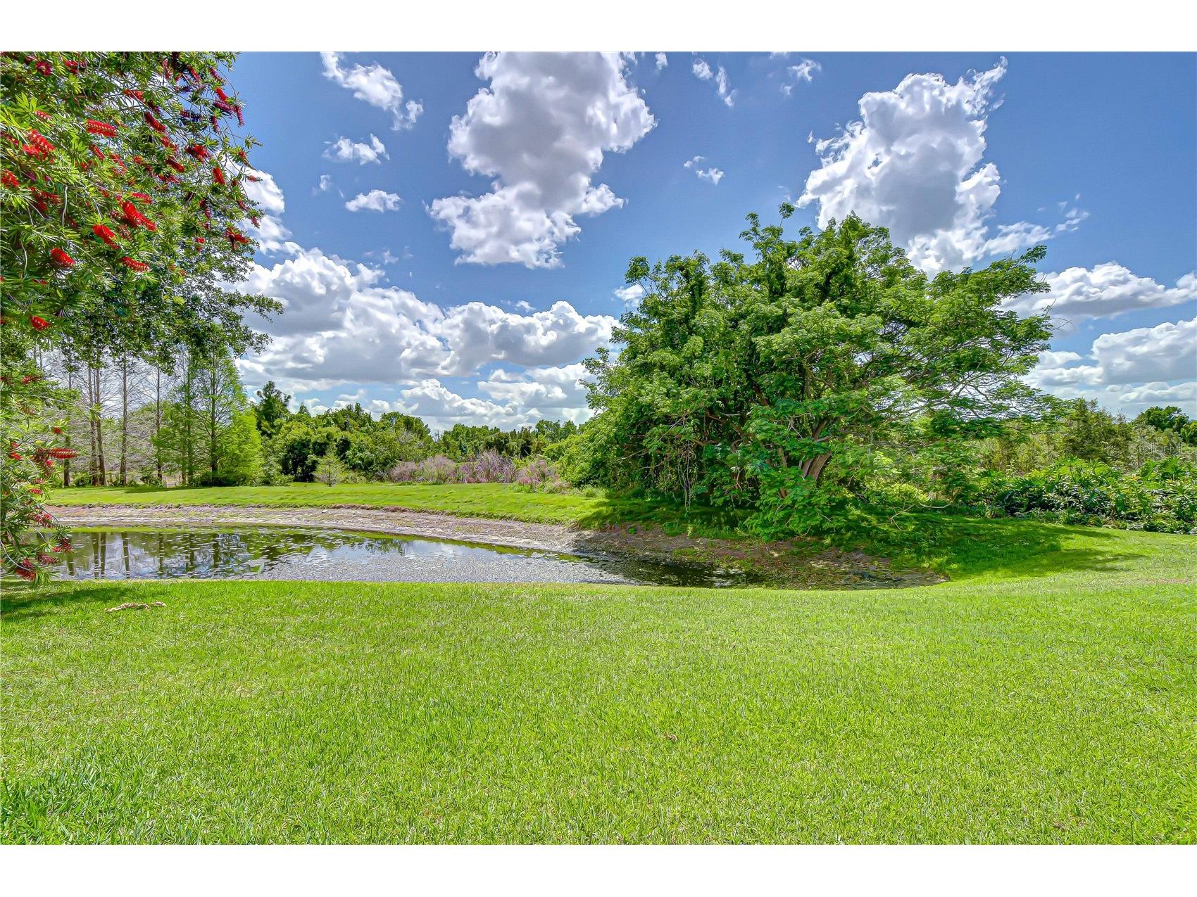 21338 Lake Vienna Drive Drive Land O Lakes FL 34638 TB8491068 image66