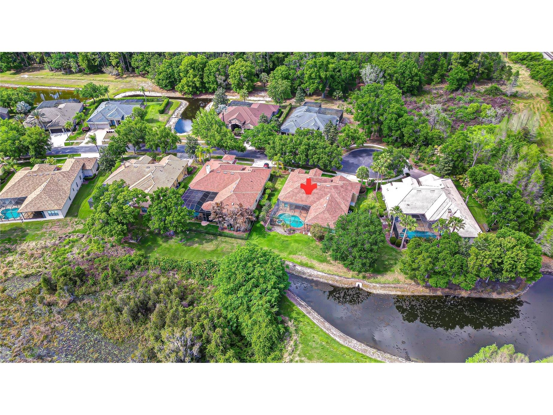 21338 Lake Vienna Drive Drive Land O Lakes FL 34638 TB8491068 image69