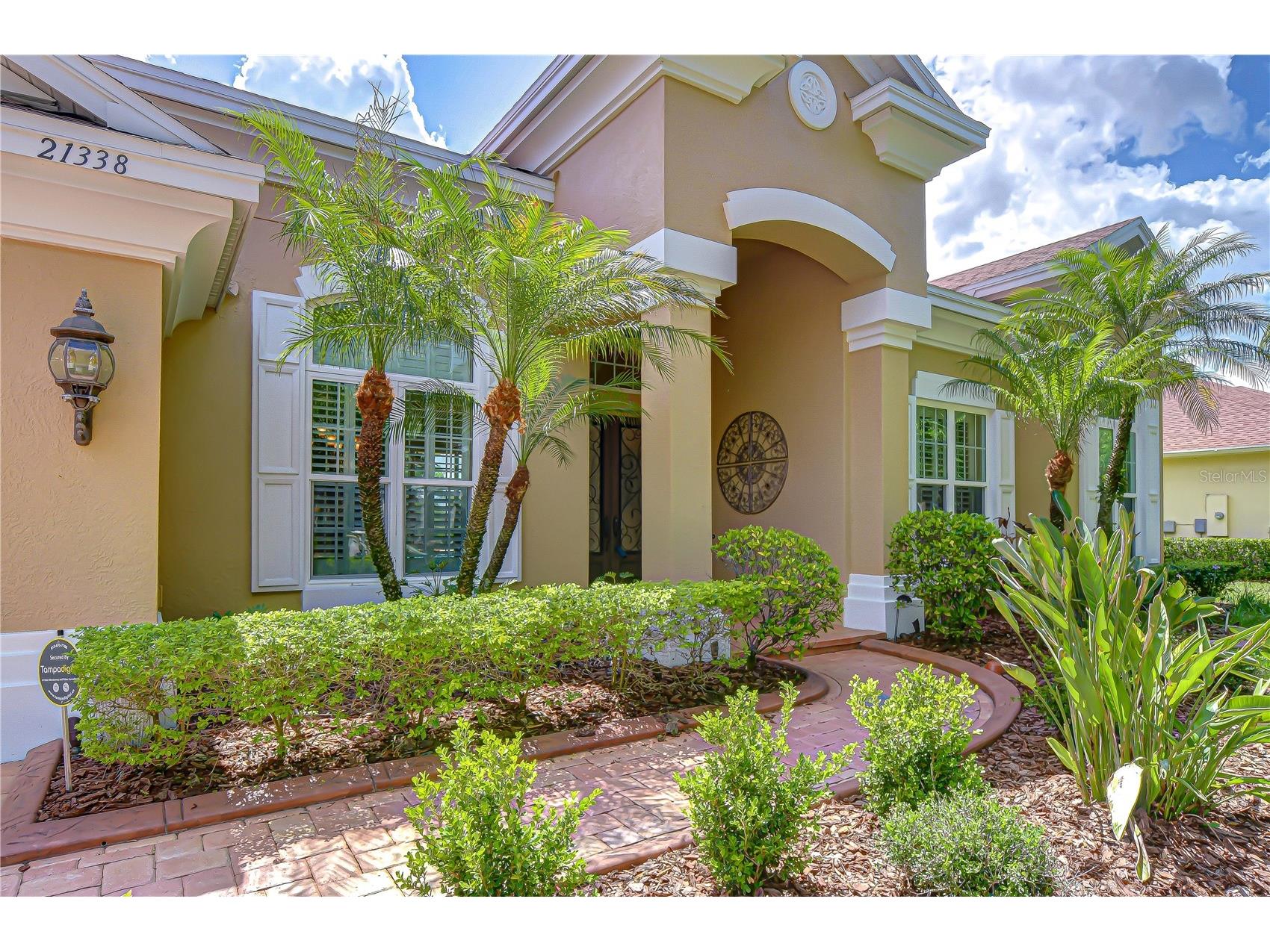 21338 Lake Vienna Drive Drive Land O Lakes FL 34638 TB8491068 image7