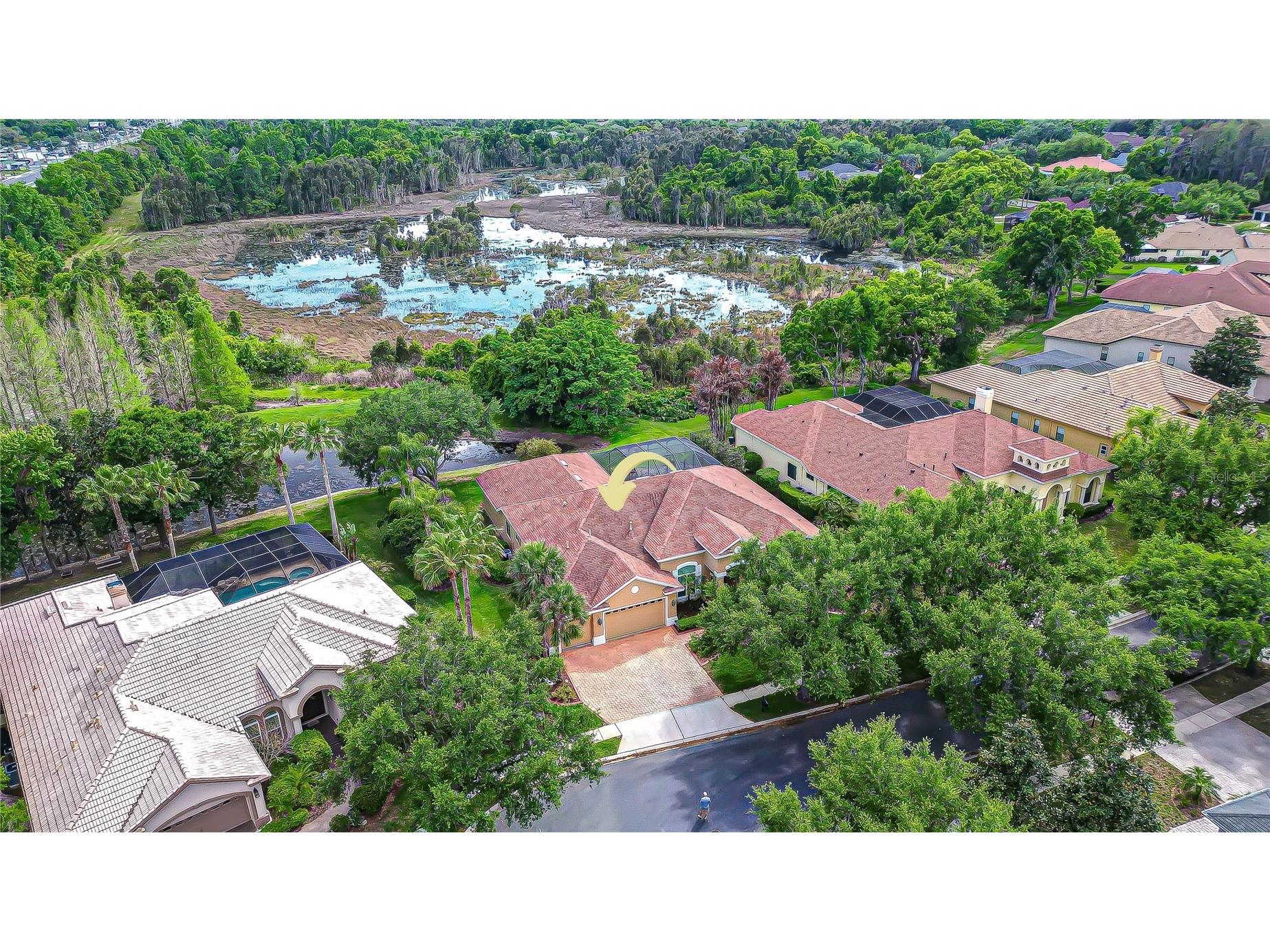 21338 Lake Vienna Drive Drive Land O Lakes FL 34638 TB8491068 image70