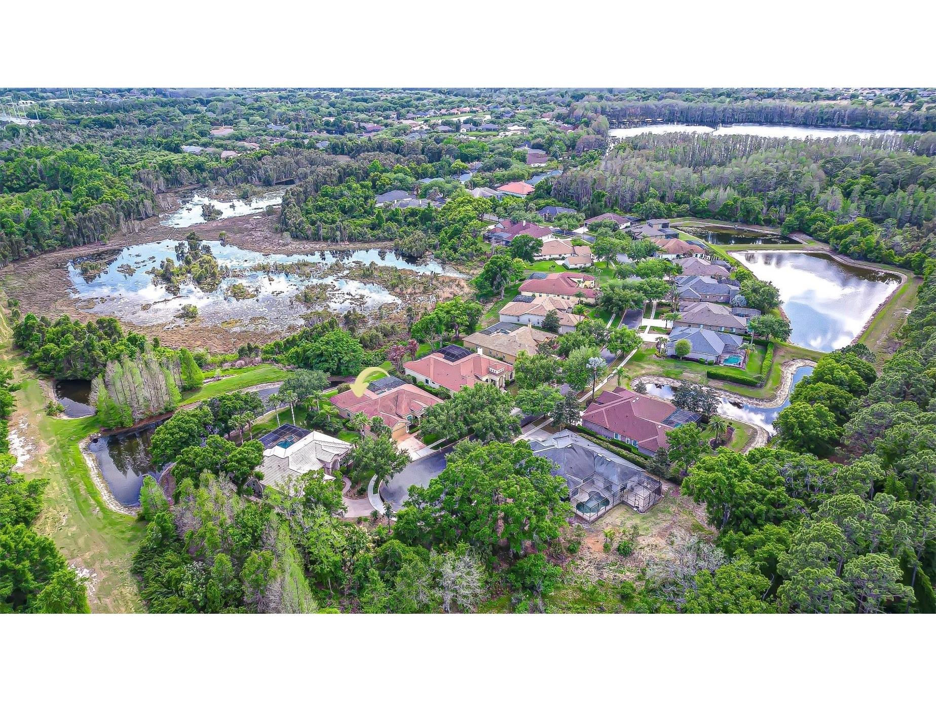 21338 Lake Vienna Drive Drive Land O Lakes FL 34638 TB8491068 image71