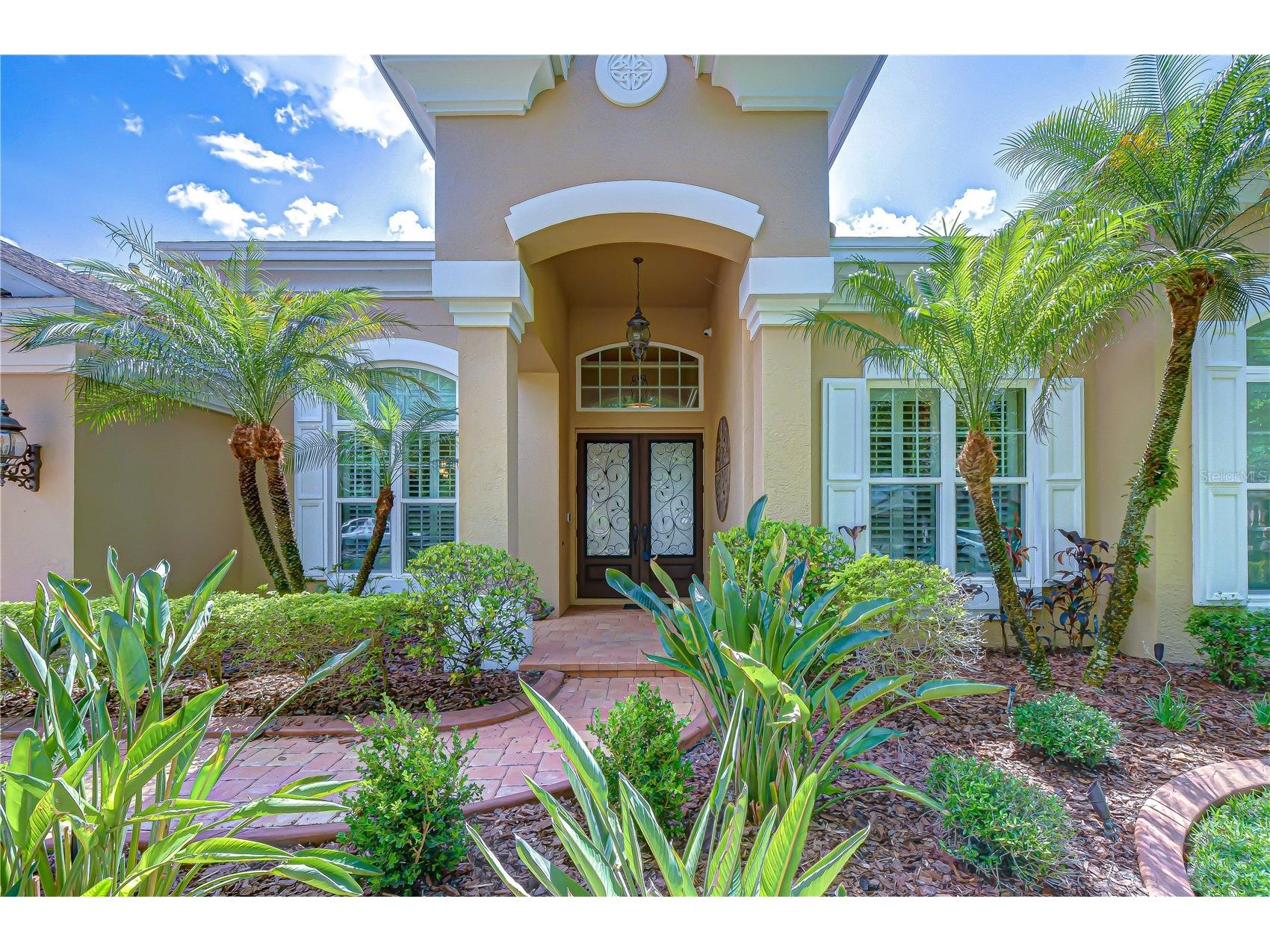 21338 Lake Vienna Drive Drive Land O Lakes FL 34638 TB8491068 image8
