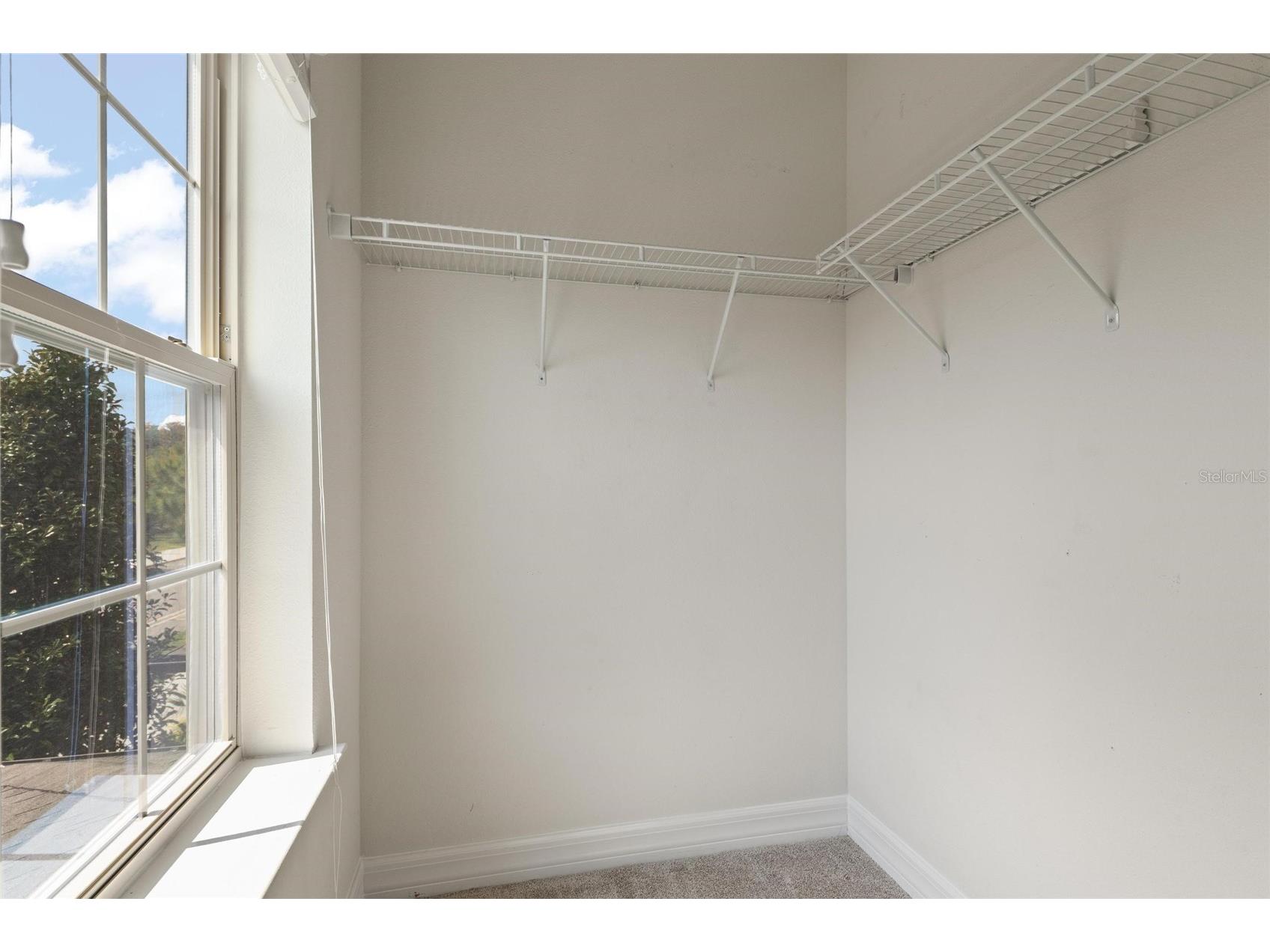 2134 Long Spur Odessa FL 33556 TB8487782 image26