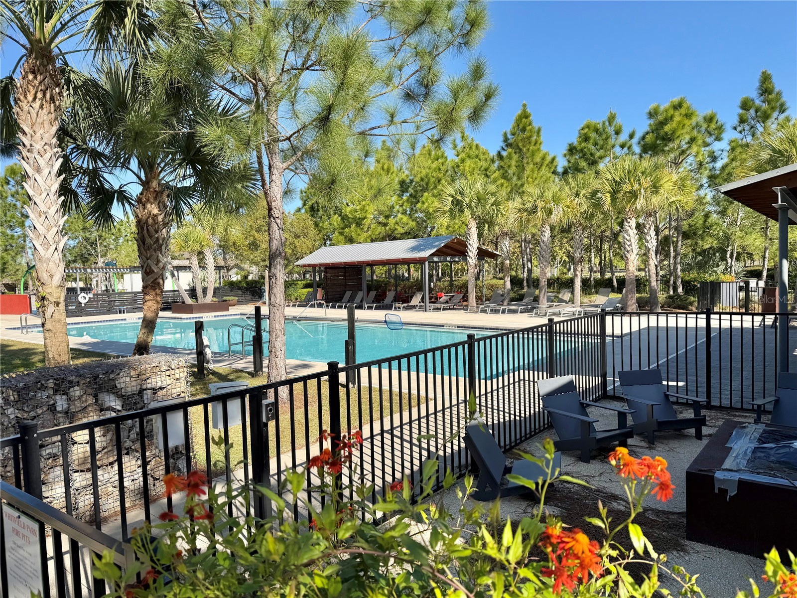 2134 Long Spur Odessa FL 33556 TB8487782 image41