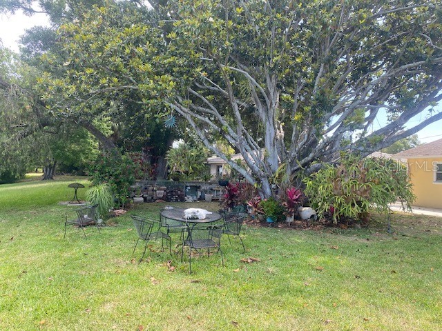 2134 Mckinley Street Clearwater FL 33765 TB8503139 image6