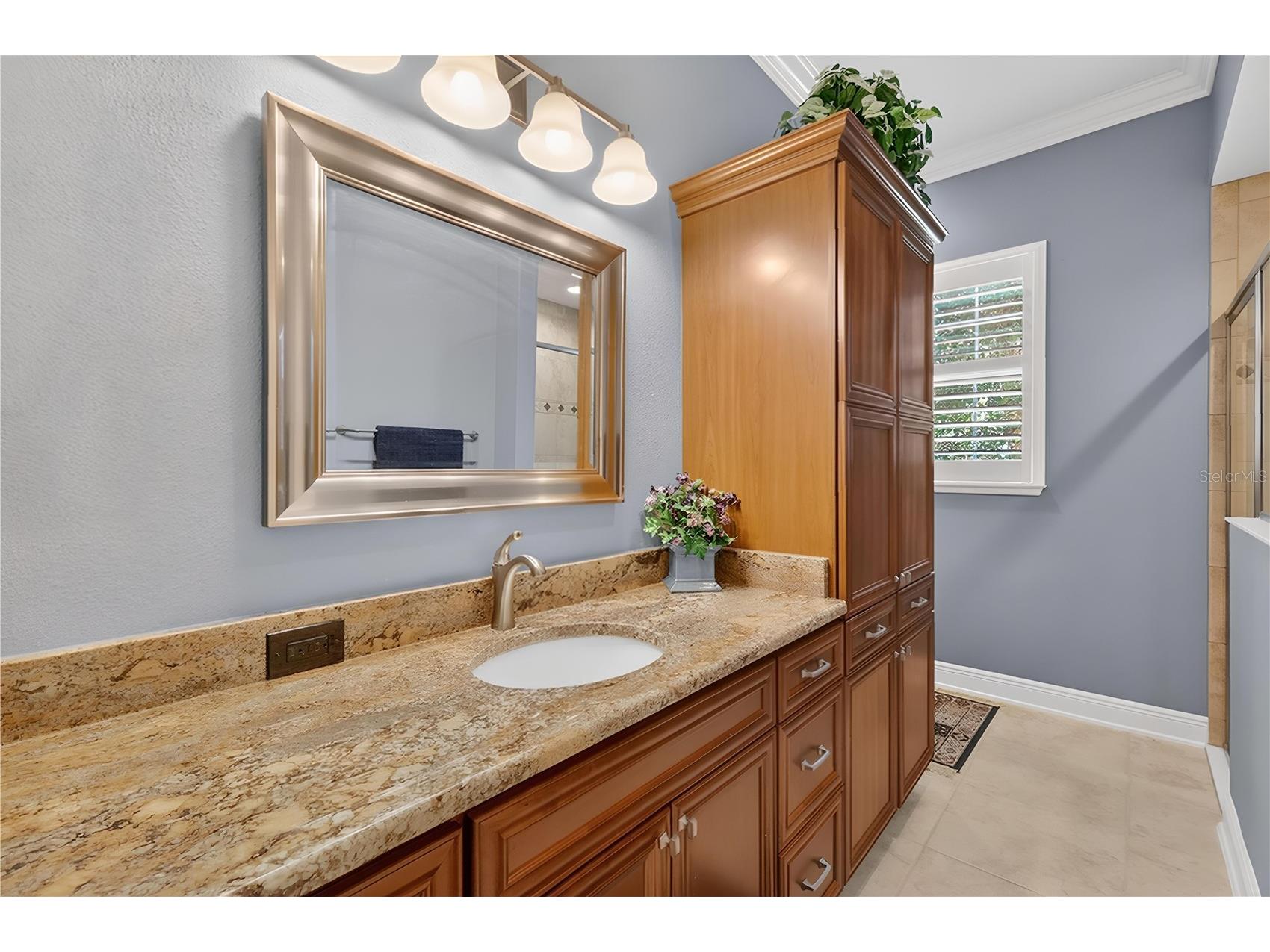 2134 Tallsman Court The Villages FL 32163 G5109831 image28