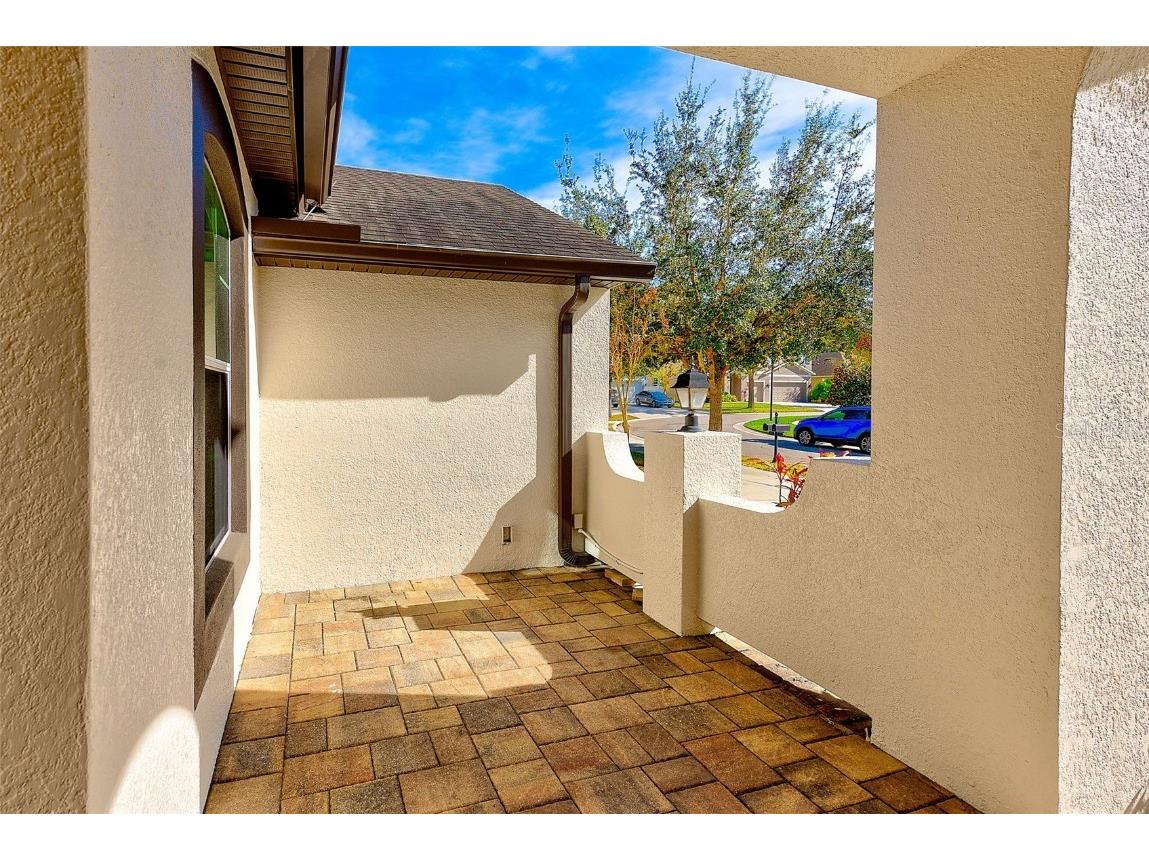 2134 Valterra Vista Way Valrico FL 33594 TB8451194 image4