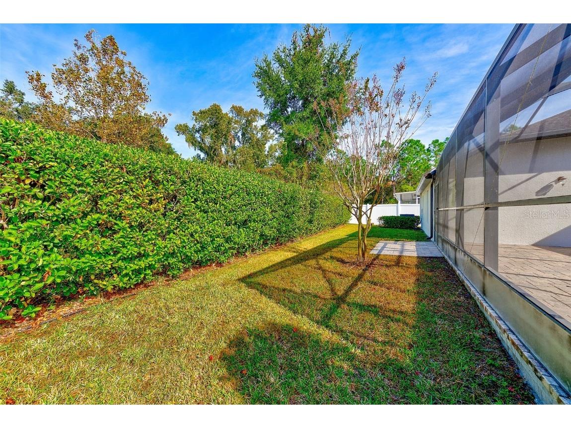 2134 Valterra Vista Way Valrico FL 33594 TB8451194 image43