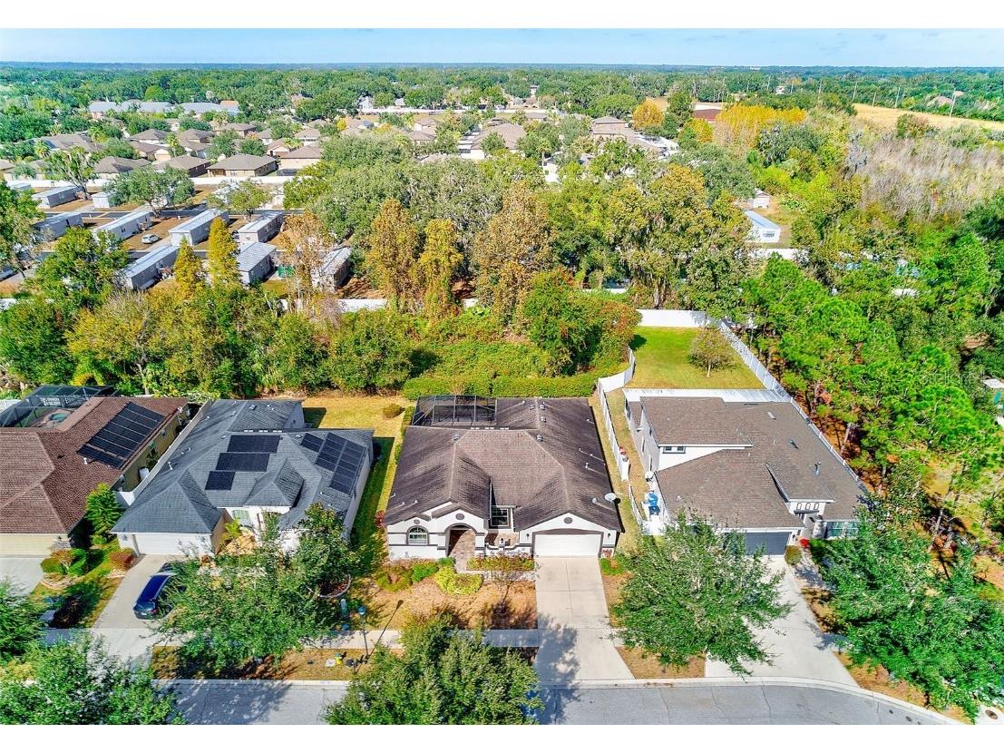 2134 Valterra Vista Way Valrico FL 33594 TB8451194 image50