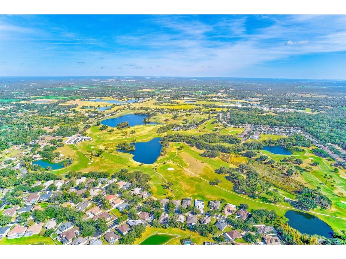 2134 Valterra Vista Way Valrico FL 33594 TB8451194 image55