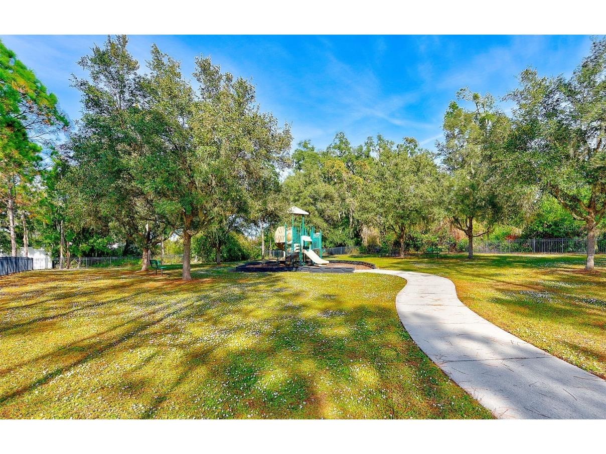 2134 Valterra Vista Way Valrico FL 33594 TB8451194 image56