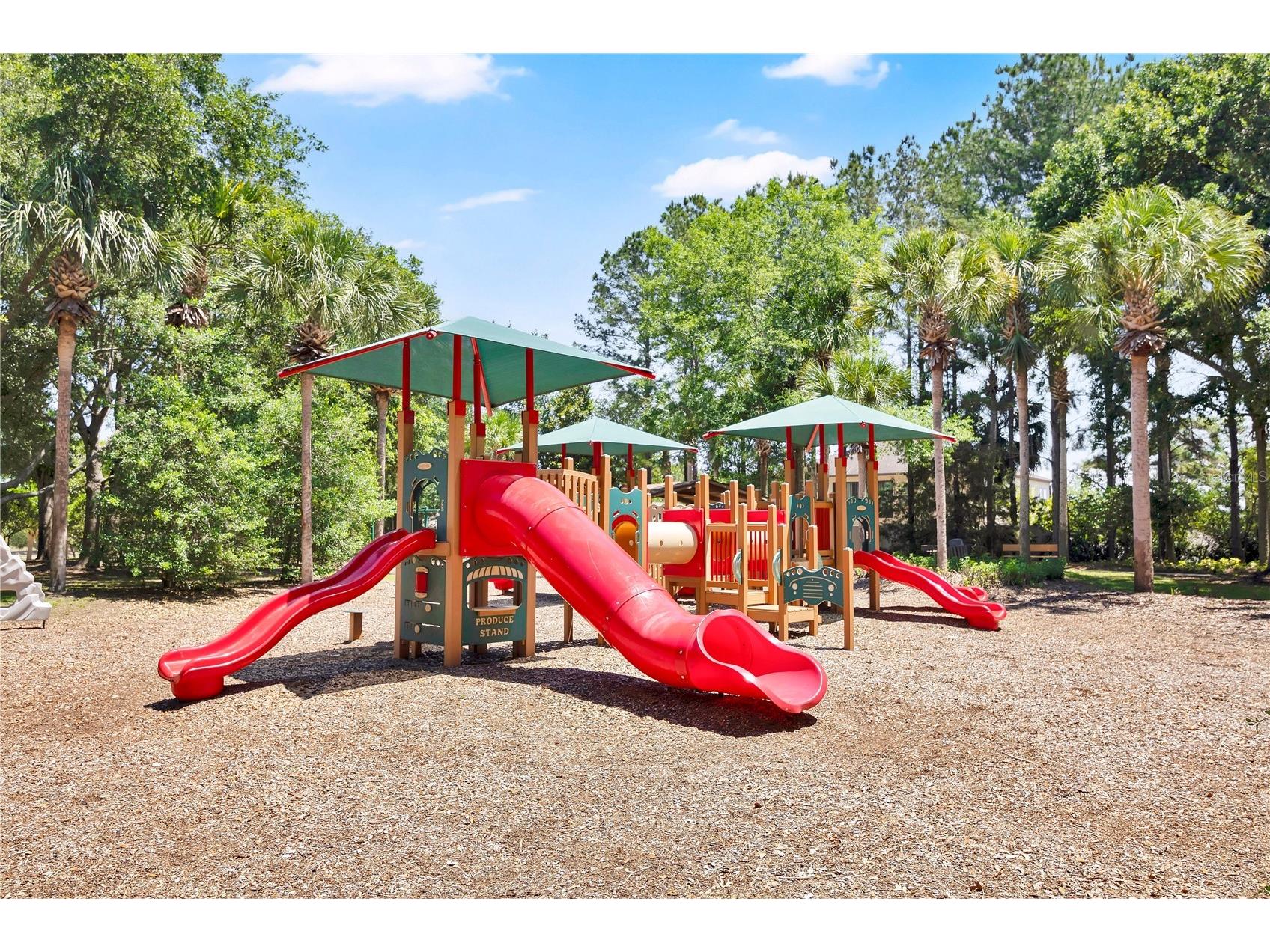 21345 Sullivan Ranch Boulevard Mount Dora FL 32757 G5112399 image61