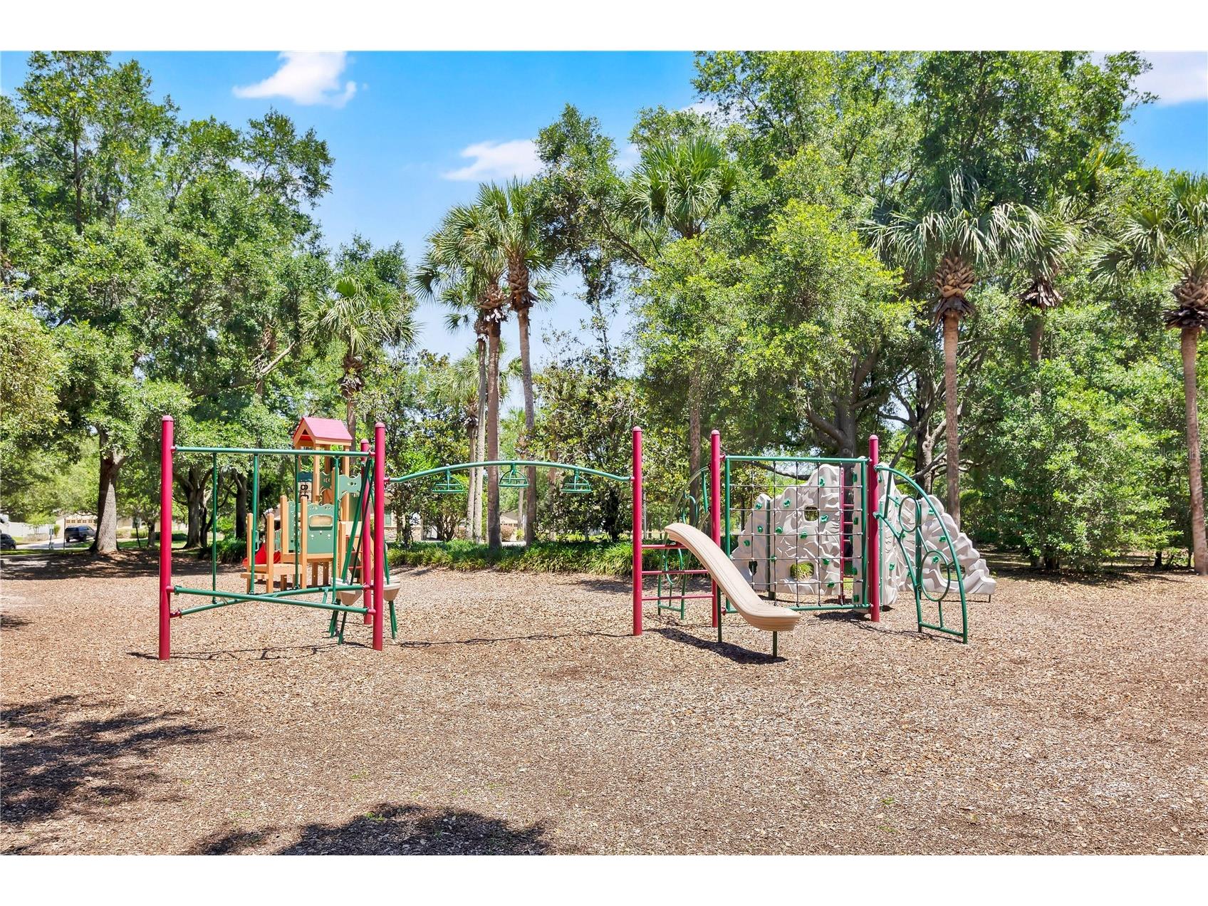 21345 Sullivan Ranch Boulevard Mount Dora FL 32757 G5112399 image62