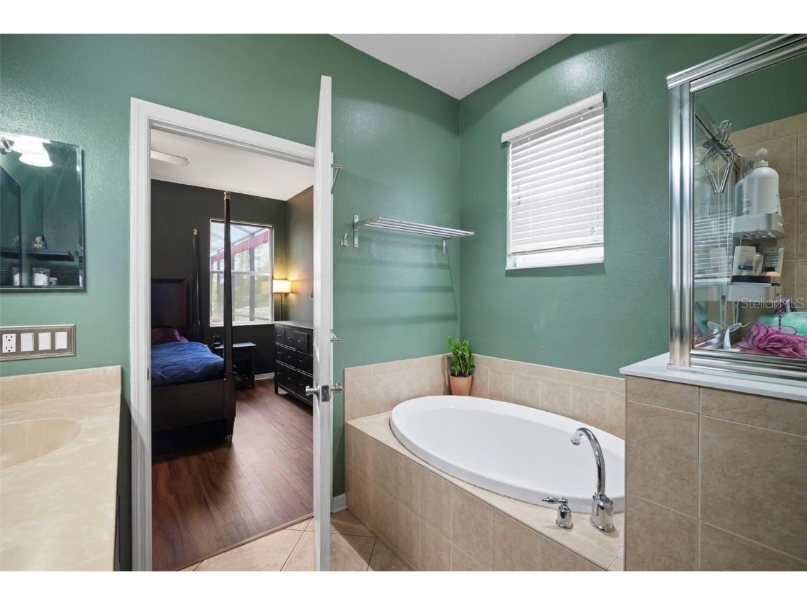 21347 Morning Mist Way Land O Lakes FL 34637 TB8427714 image18