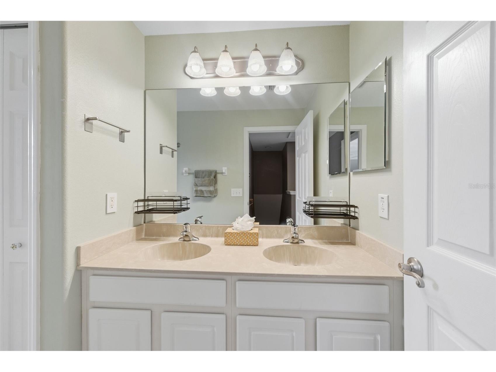 21347 Morning Mist Way Land O Lakes FL 34637 TB8512192 image36