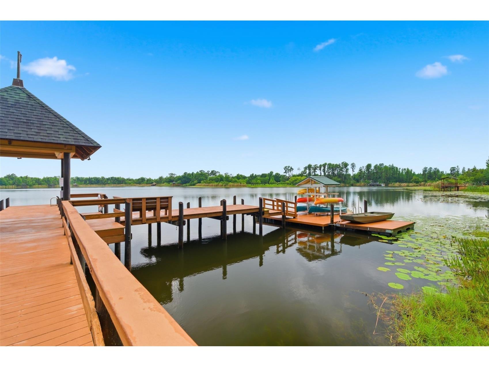 21347 Morning Mist Way Land O Lakes FL 34637 TB8512192 image50