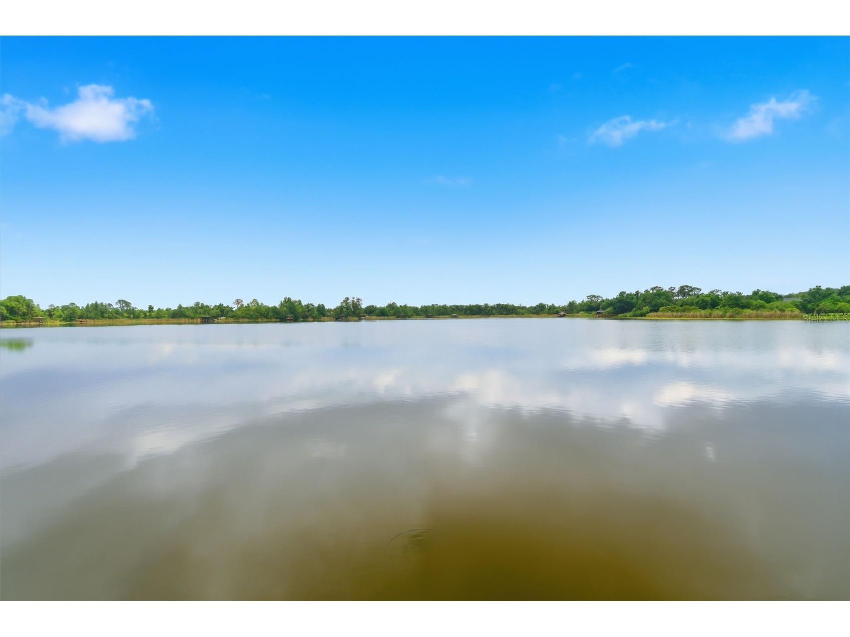 21347 Morning Mist Way Land O Lakes FL 34637 TB8512192 image52