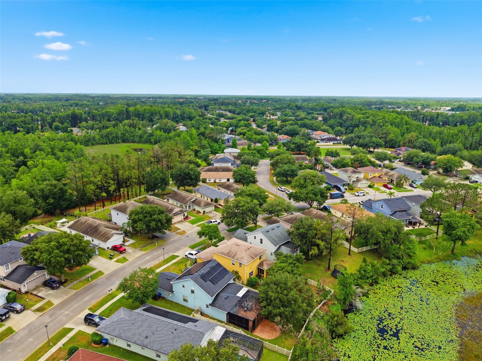 21347 Morning Mist Way Land O Lakes FL 34637 TB8512192 image82