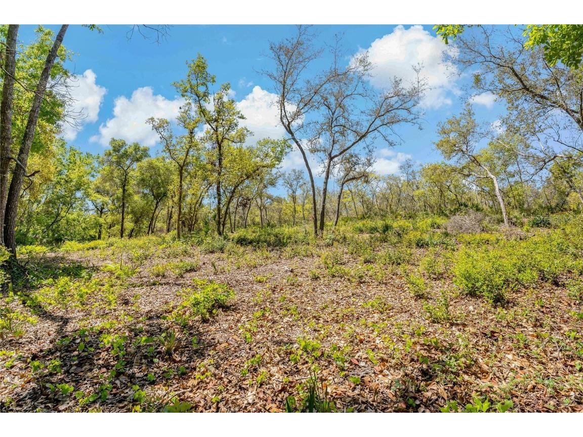 2135 Bear Run N Frostproof FL 33843 P4934228 image1