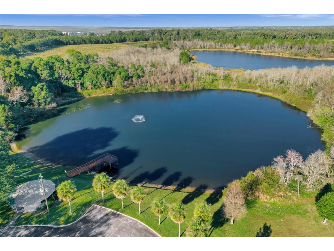 2135 Canopy Circle #137 Zellwood FL 32798 - COHEN AND GRASSMERE O6285901 image34