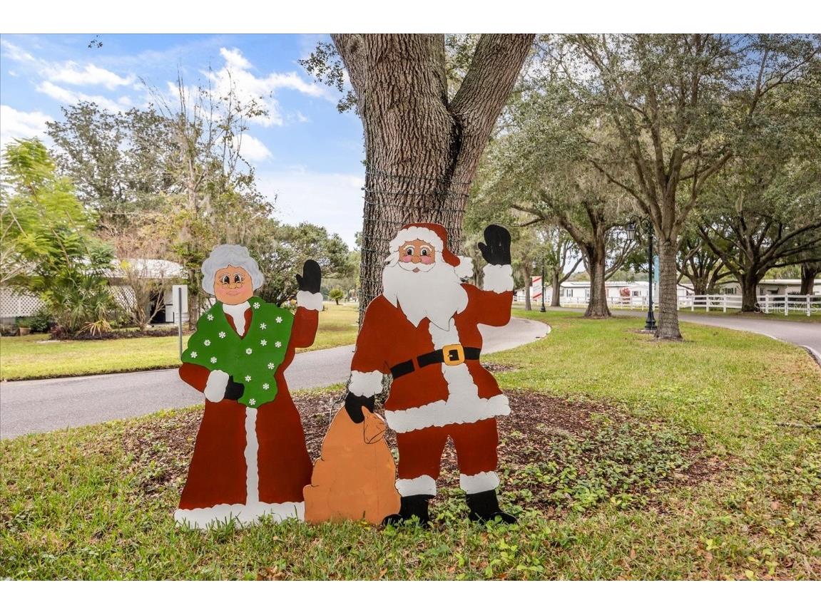 2135 Canopy Circle #137 Zellwood FL 32798 - COHEN AND GRASSMERE O6285901 image49