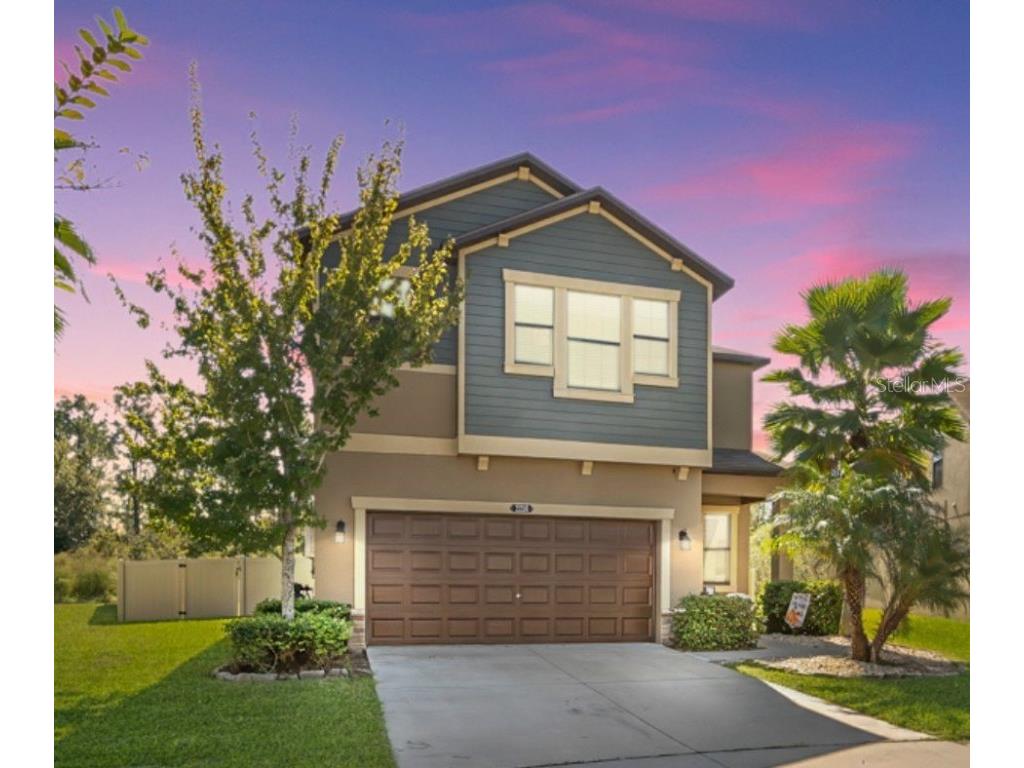 21350 Wistful Yearn Drive Land O Lakes FL 34637 T3484545 image1