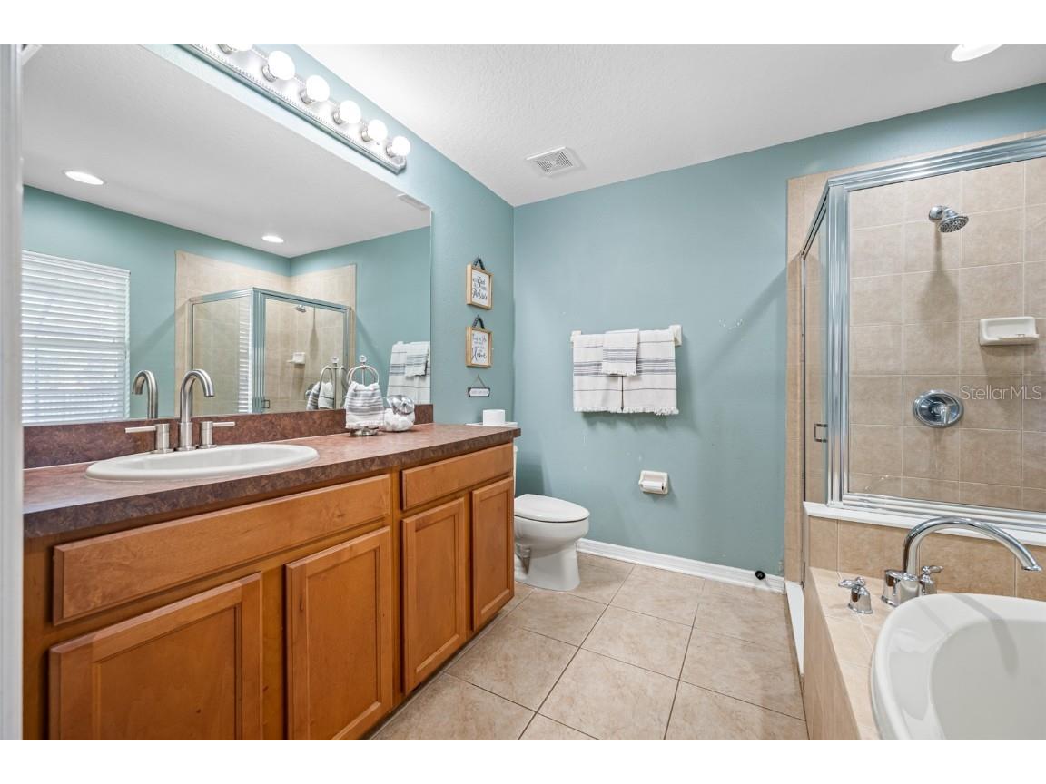 21351 Morning Mist Way Land O Lakes FL 34637 TB8456106 image25