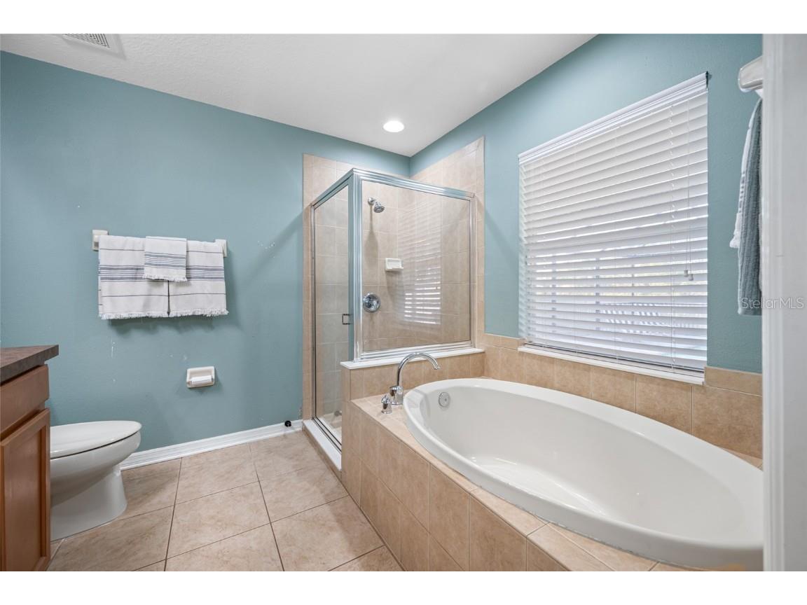 21351 Morning Mist Way Land O Lakes FL 34637 TB8456106 image26