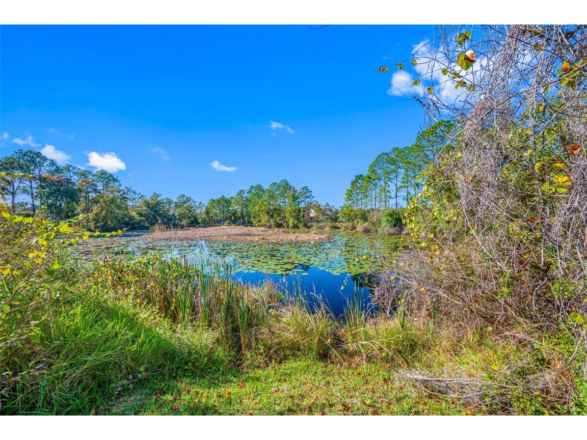 21351 Morning Mist Way Land O Lakes FL 34637 TB8456106 image46