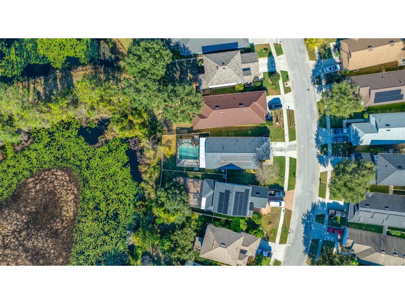 21351 Morning Mist Way Land O Lakes FL 34637 TB8456106 image55