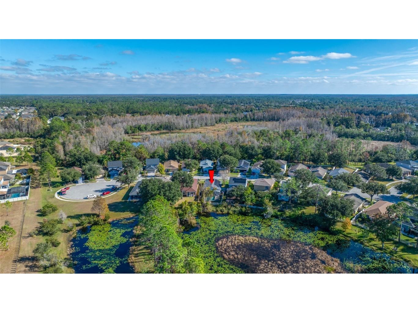 21351 Morning Mist Way Land O Lakes FL 34637 TB8456106 image68