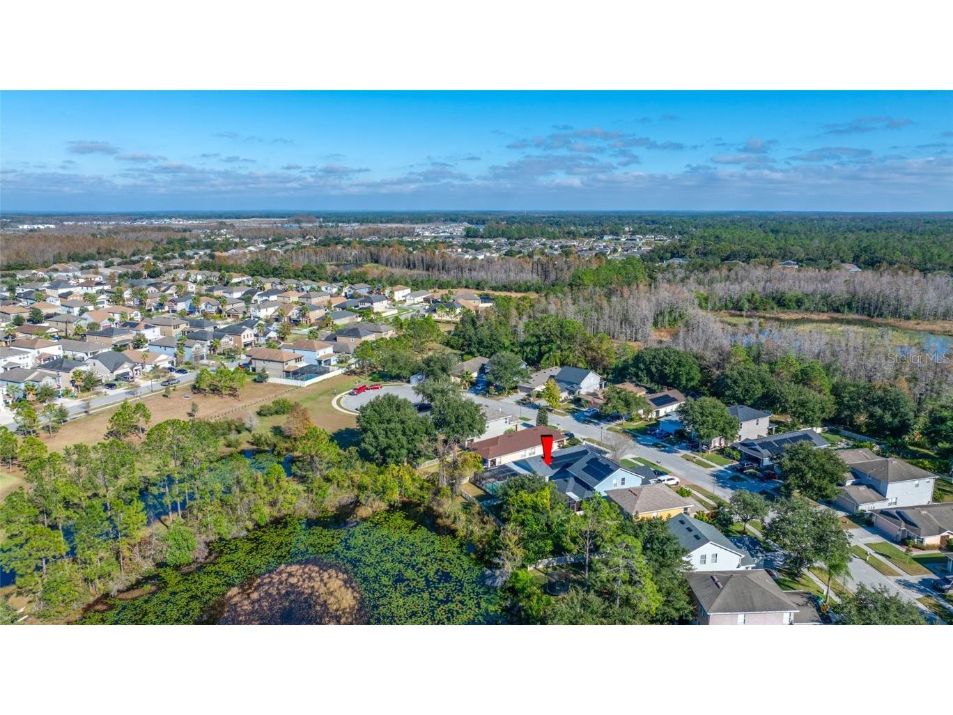 21351 Morning Mist Way Land O Lakes FL 34637 TB8456106 image69