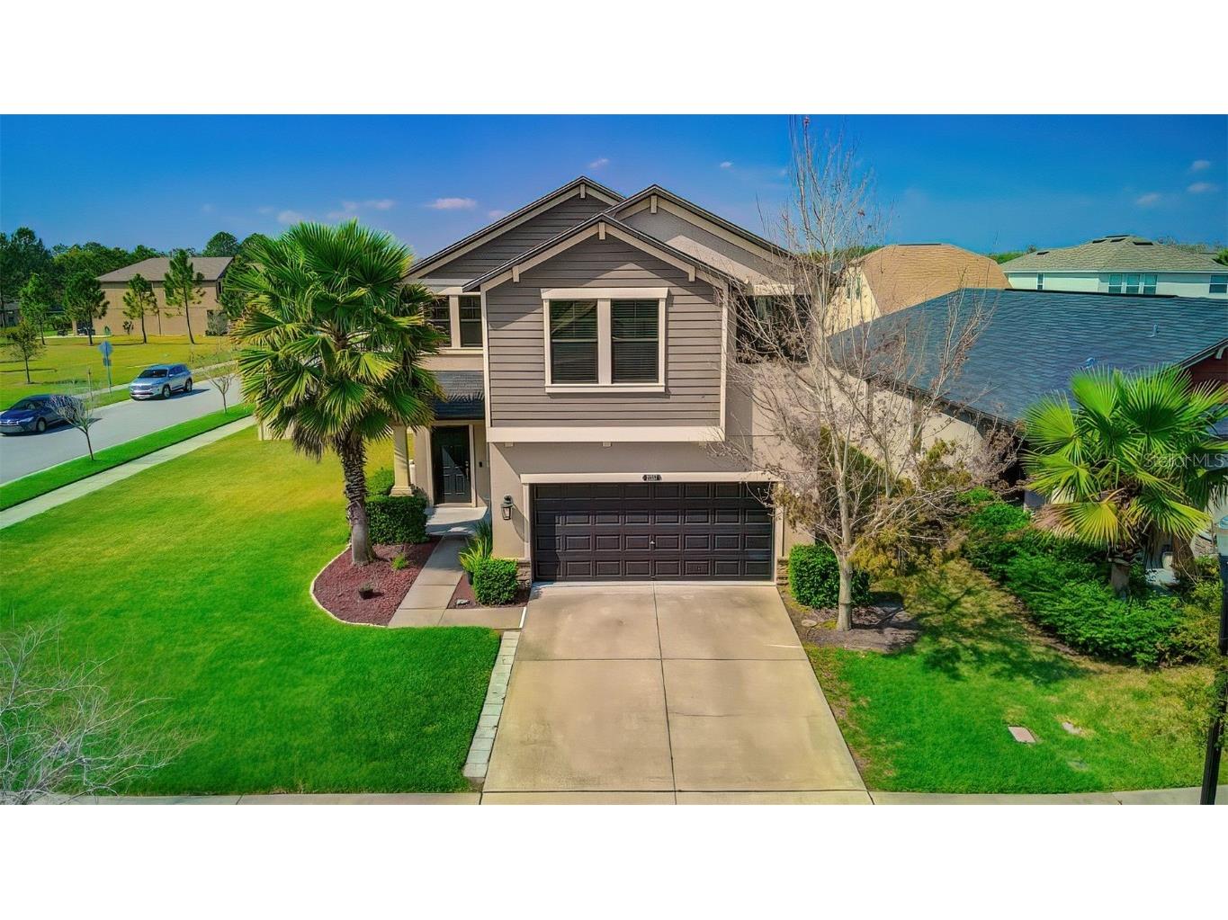 21357 Wistful Yearn Drive Land O Lakes FL 34637 T3431150 image1