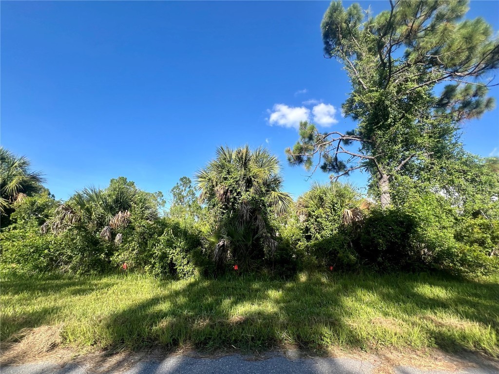 2136 Lingayen Street Port Charlotte FL 33953 C7495457 image1