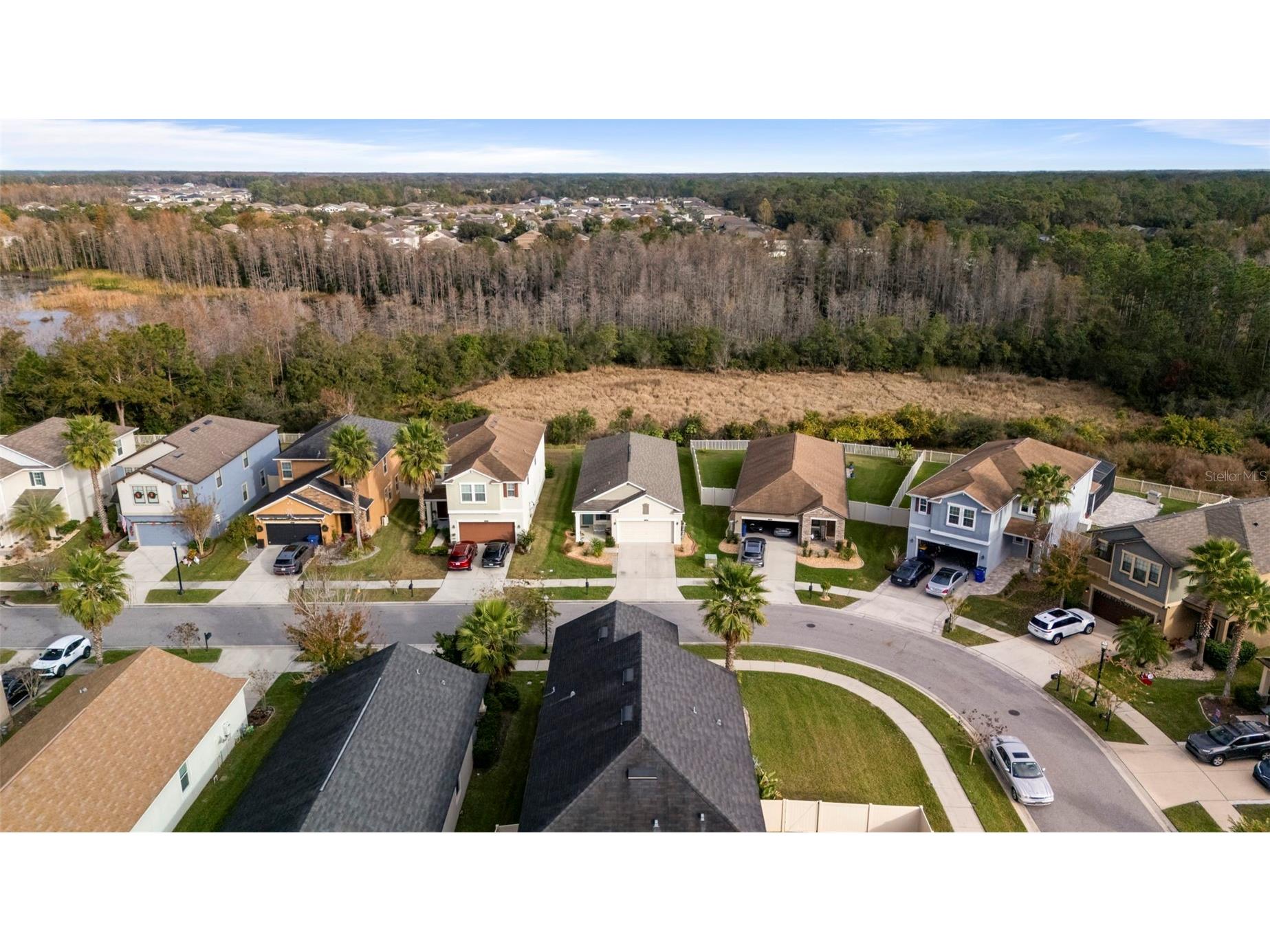 21362 Wistful Yearn Drive Land O Lakes FL 34637 TB8460824 image32