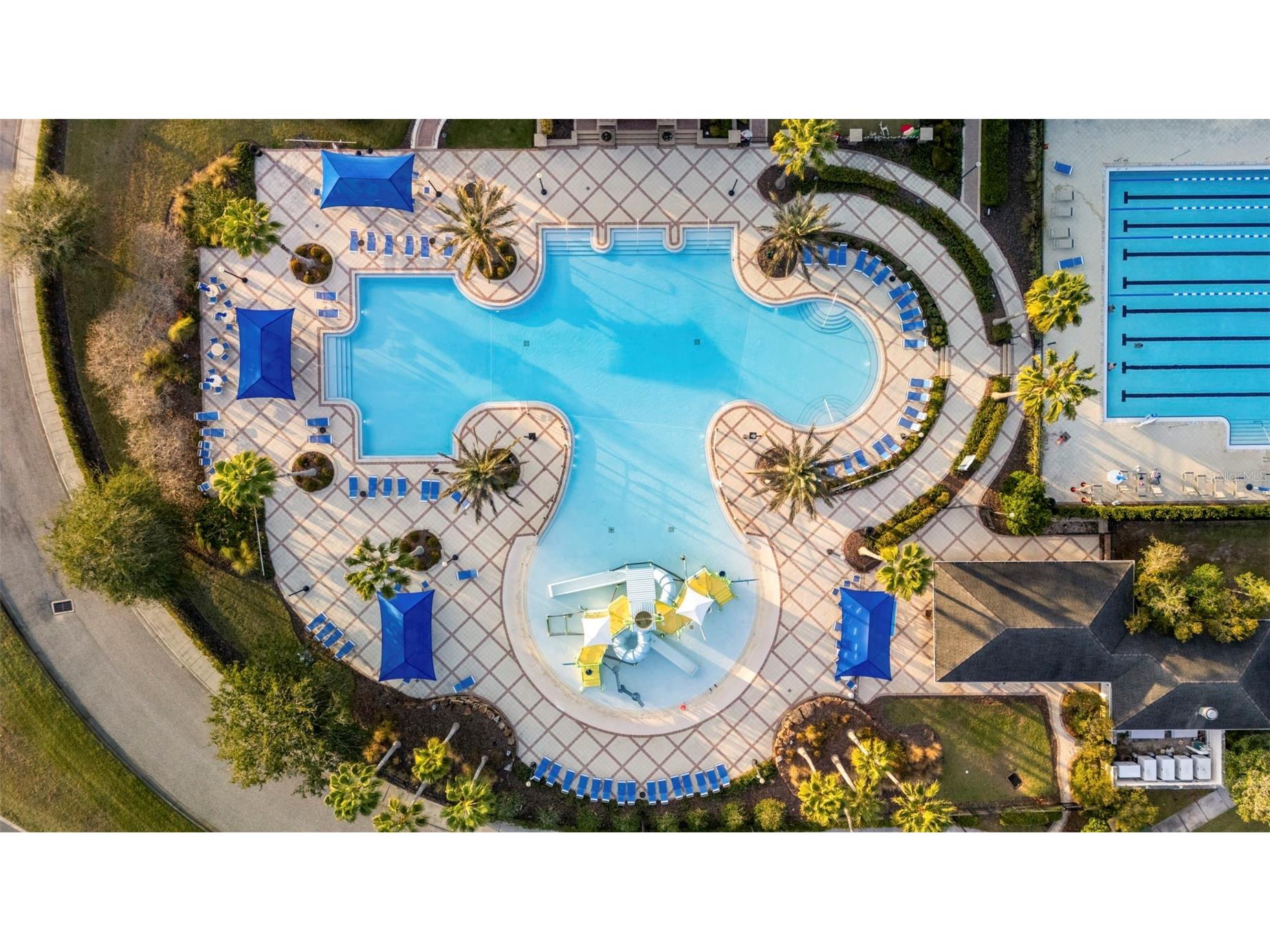 21362 Wistful Yearn Drive Land O Lakes FL 34637 TB8460824 image50