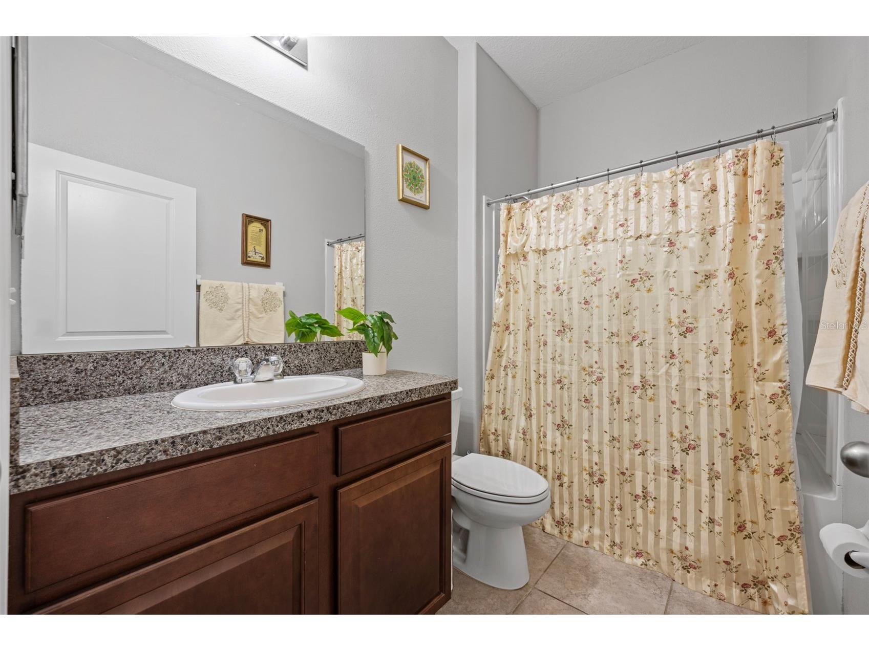 21362 Wistful Yearn Drive Land O Lakes FL 34637 TB8460824 image9
