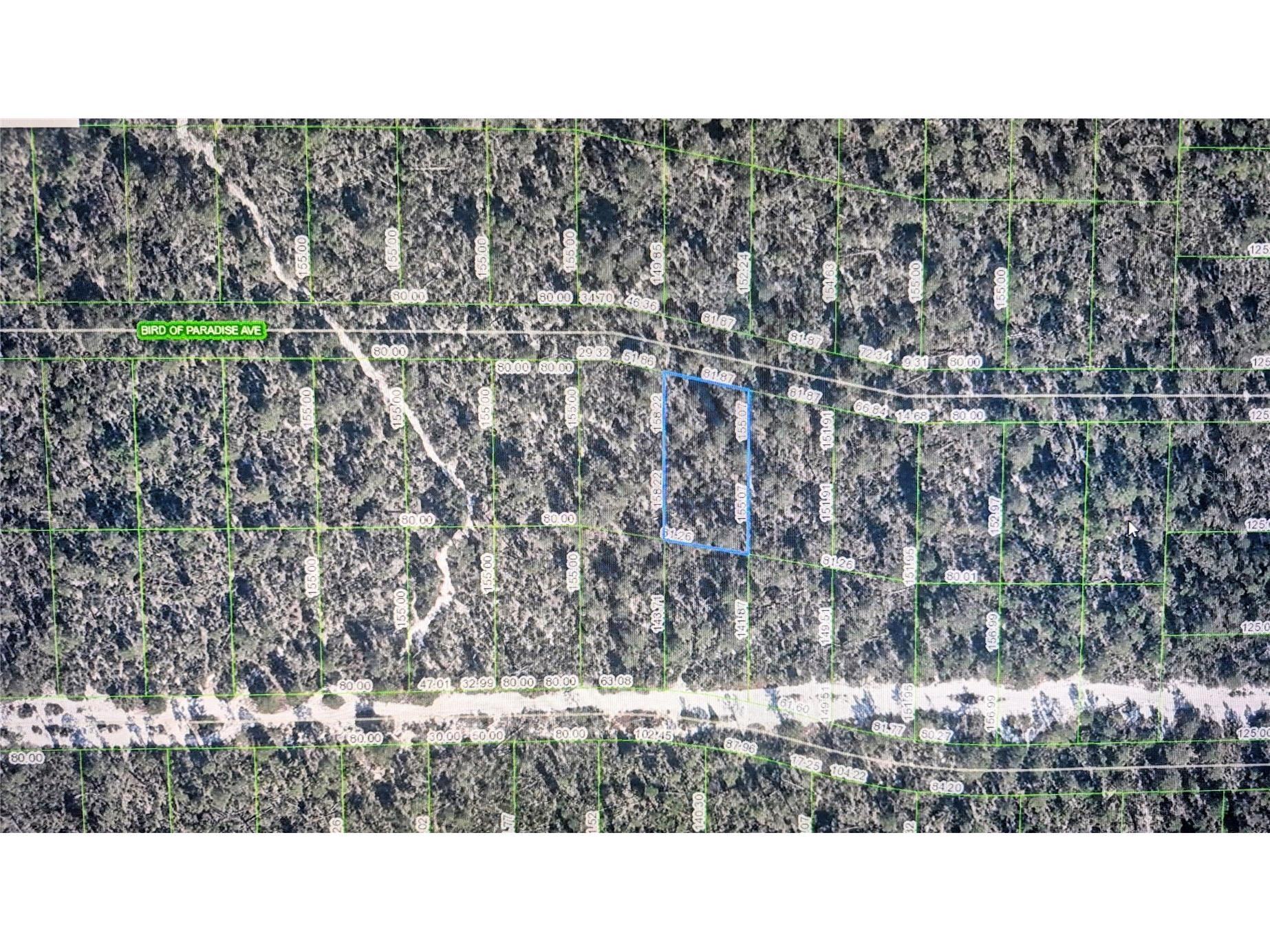 2137 Bird Of Paradise Avenue Sebring FL 33875 O6411026 image1