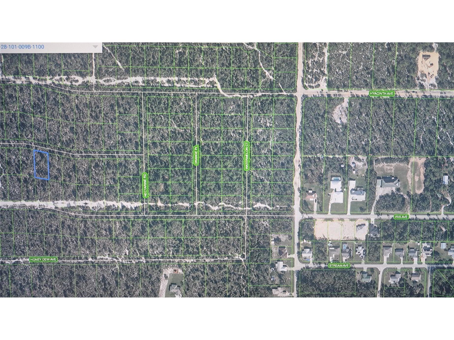 2137 Bird Of Paradise Avenue Sebring FL 33875 O6411026 image3