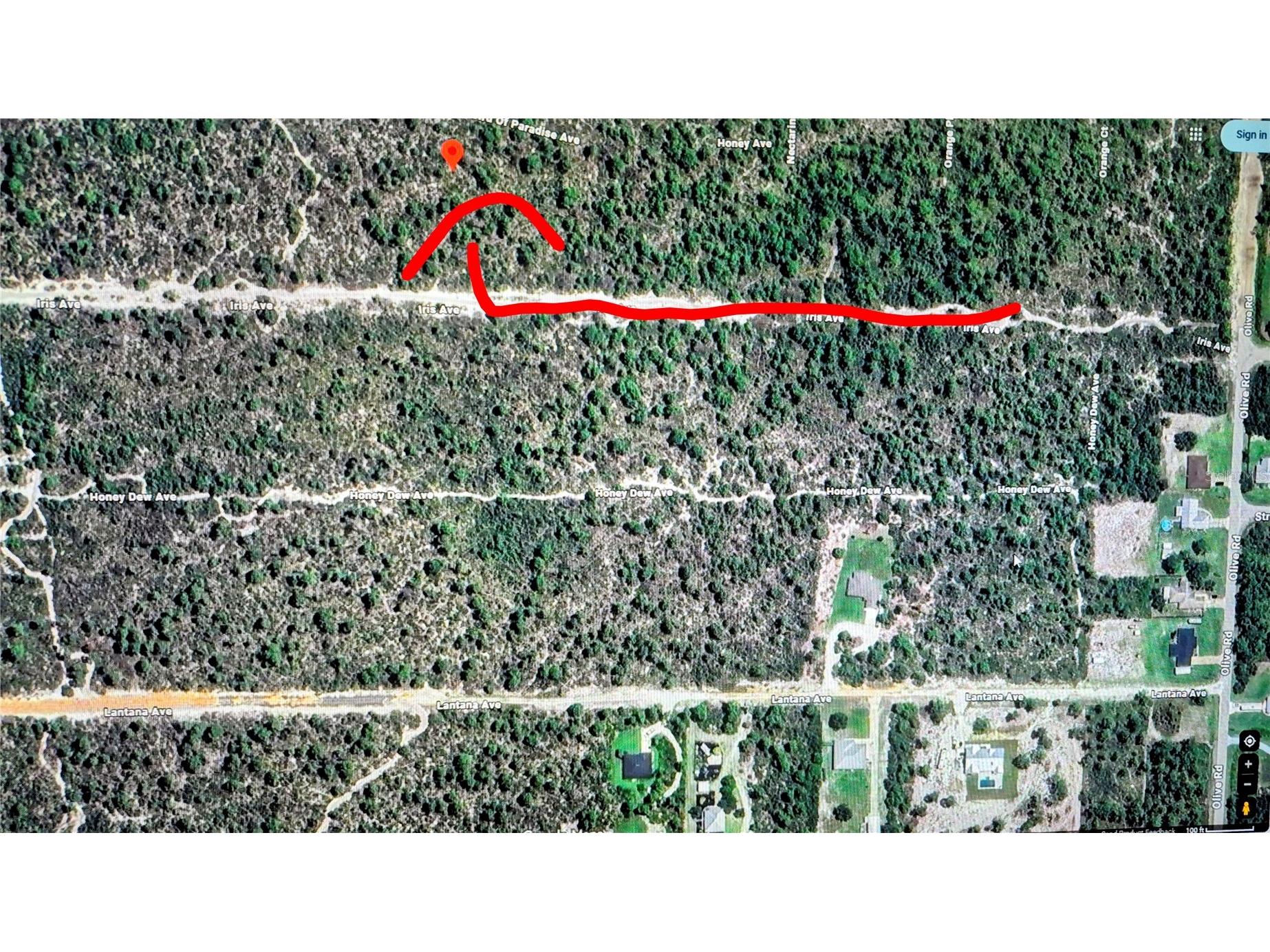 2137 Bird Of Paradise Avenue Sebring FL 33875 O6411026 image4
