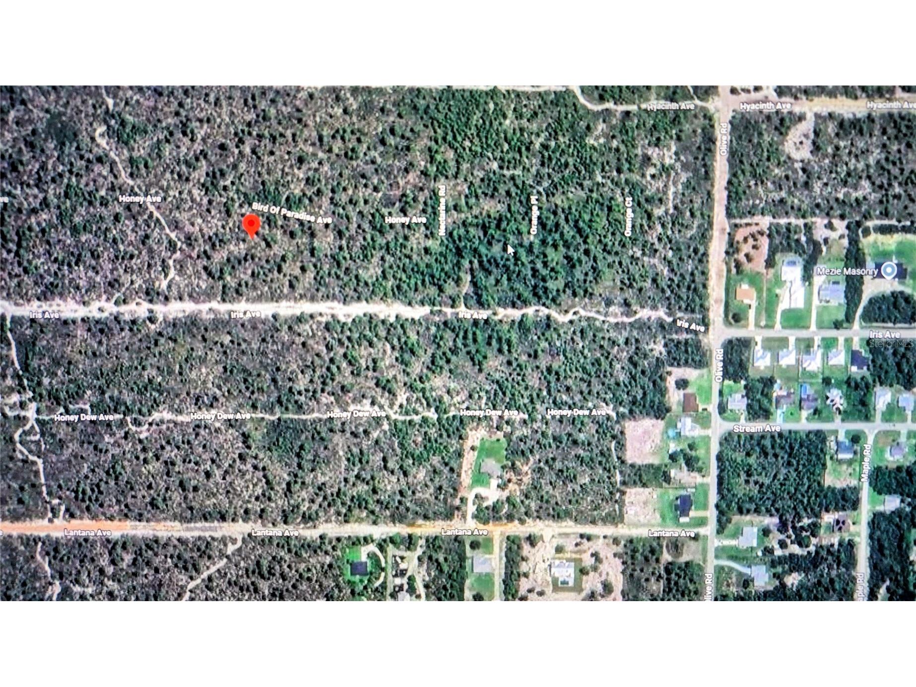 2137 Bird Of Paradise Avenue Sebring FL 33875 O6411026 image5