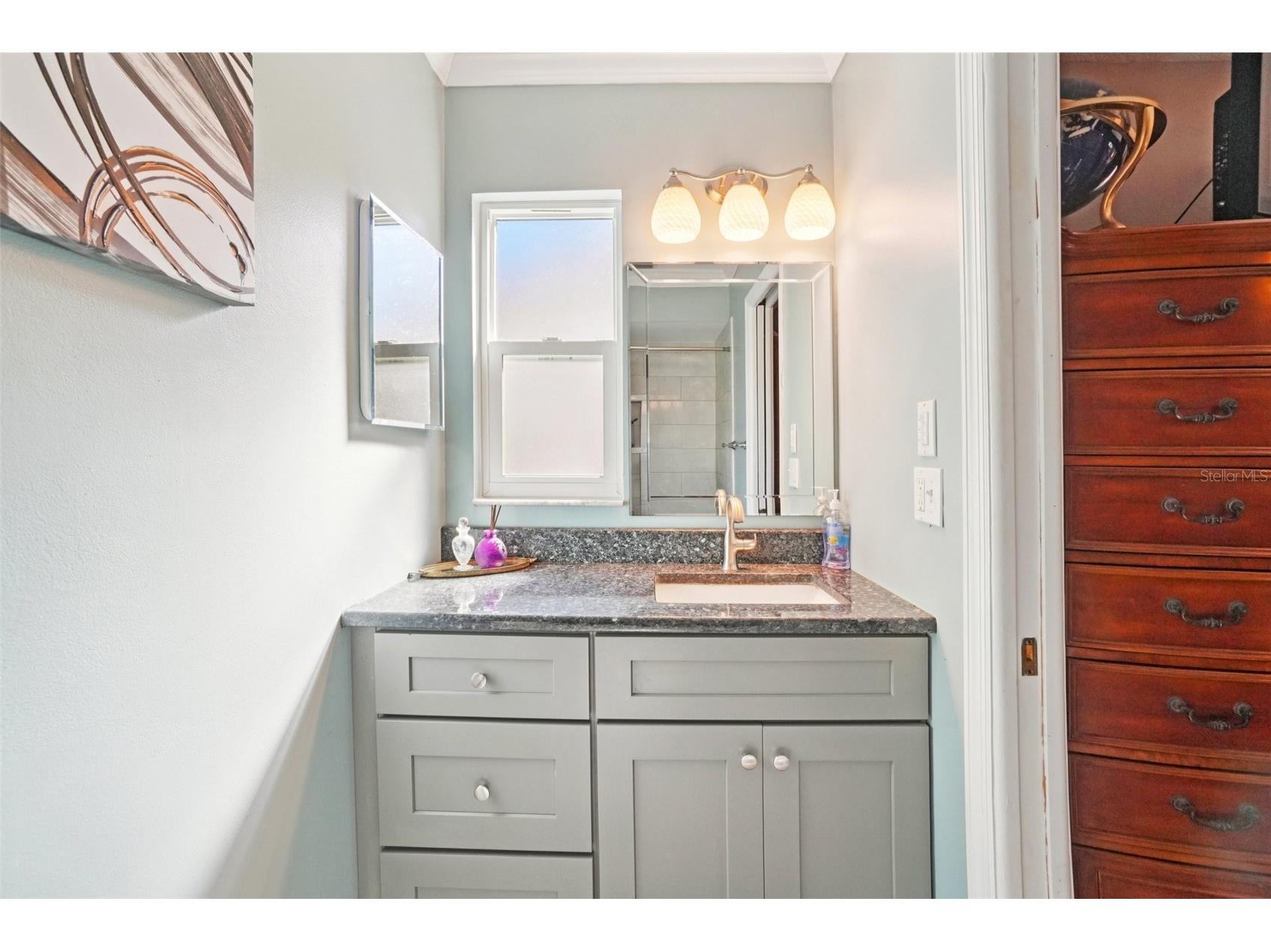 2137 Malcolm Drive Palm Harbor FL 34684 TB8462729 image21